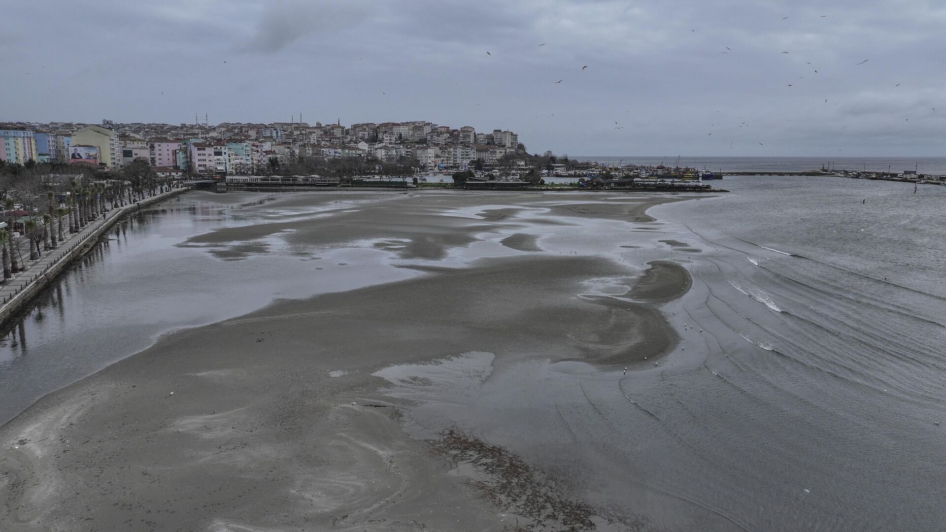 Silivri’de deniz suyu kıyıdan 100 metre çekildi: Sahilde adacıklar oluştu