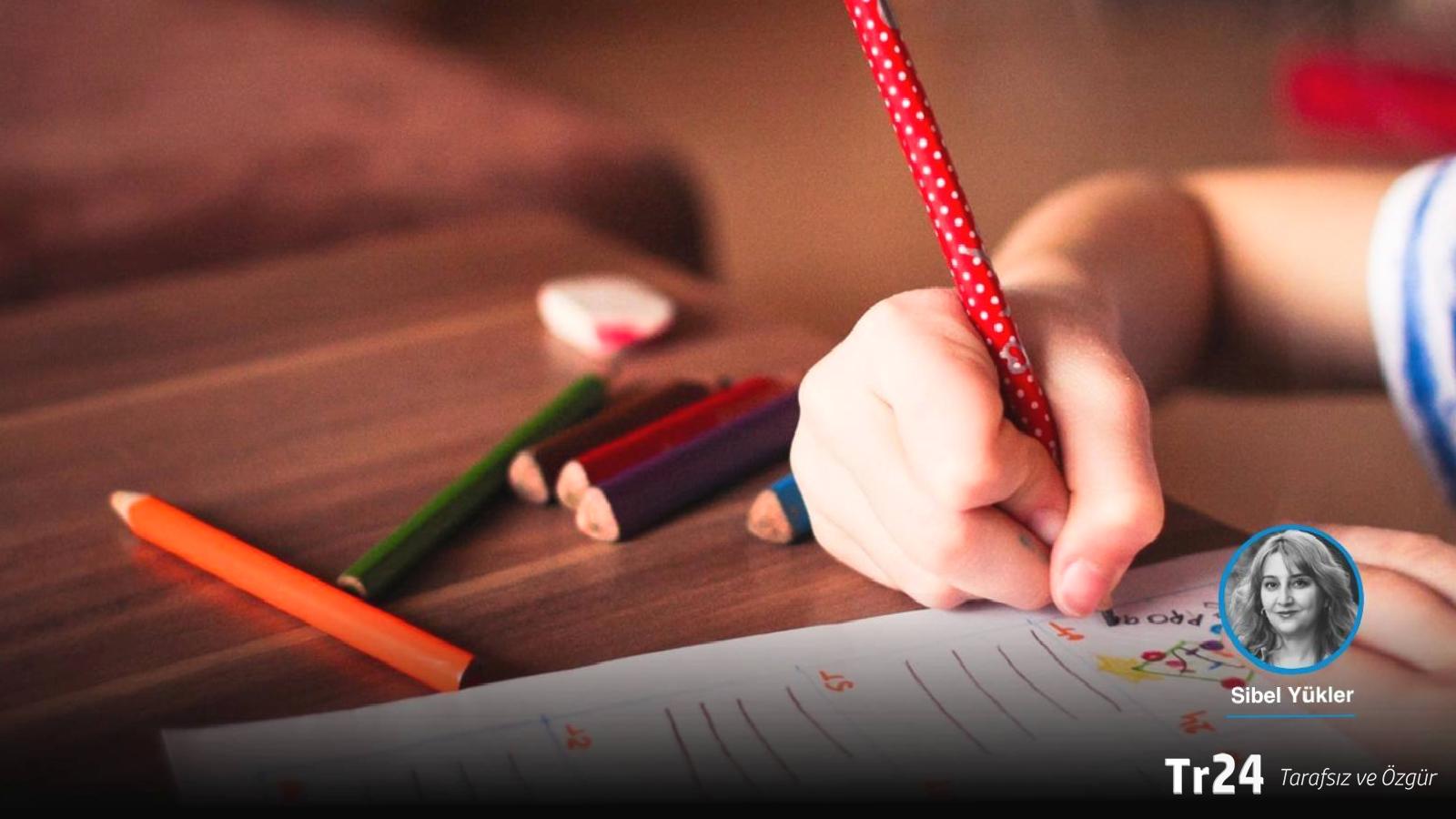 AYM’den otizmli çocukların eğitimi için emsal ihlâl kararı: Mahkemeler, yetersiz eğitim ve gerileme sorunlarını yeterli tespit etmeli