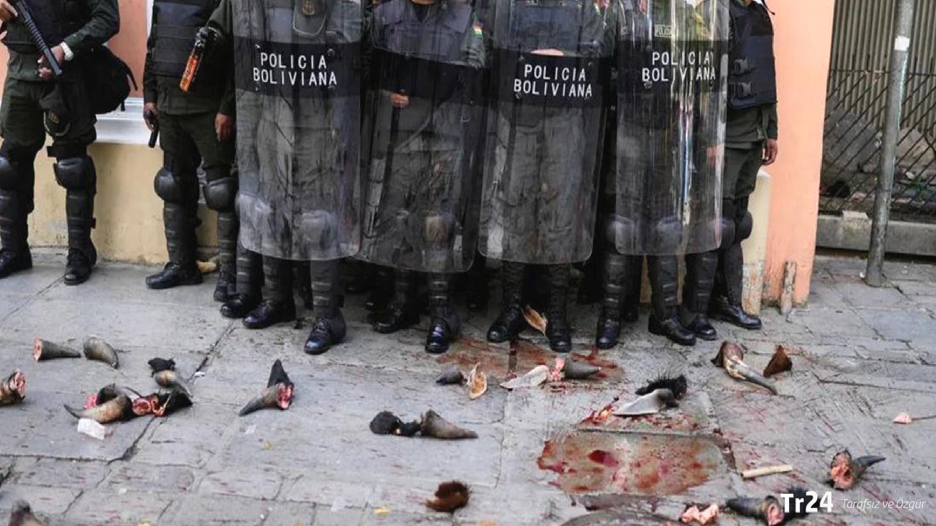 Bolivya’da kasaplar et fiyatlarına isyan etti: Eylemciler, polise inek boynuzu ve bağırsak attı