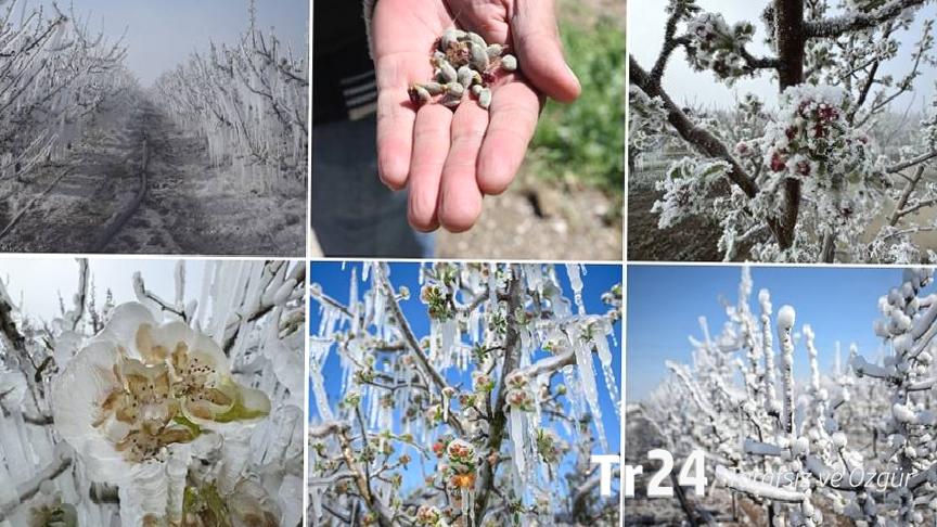 CHP’li Gürer: Don felaketinin tesiri Ağustos’ta yurttaşın cebine yansıyacak