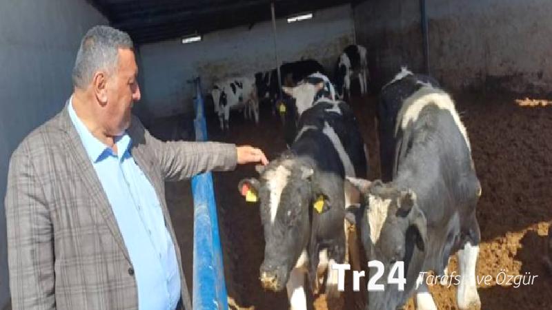 CHP’li Gürer: Hayvancılıkta maliyetler katlandı, fiyatlar emekli ve minimum ücretlinin gelirini aştı