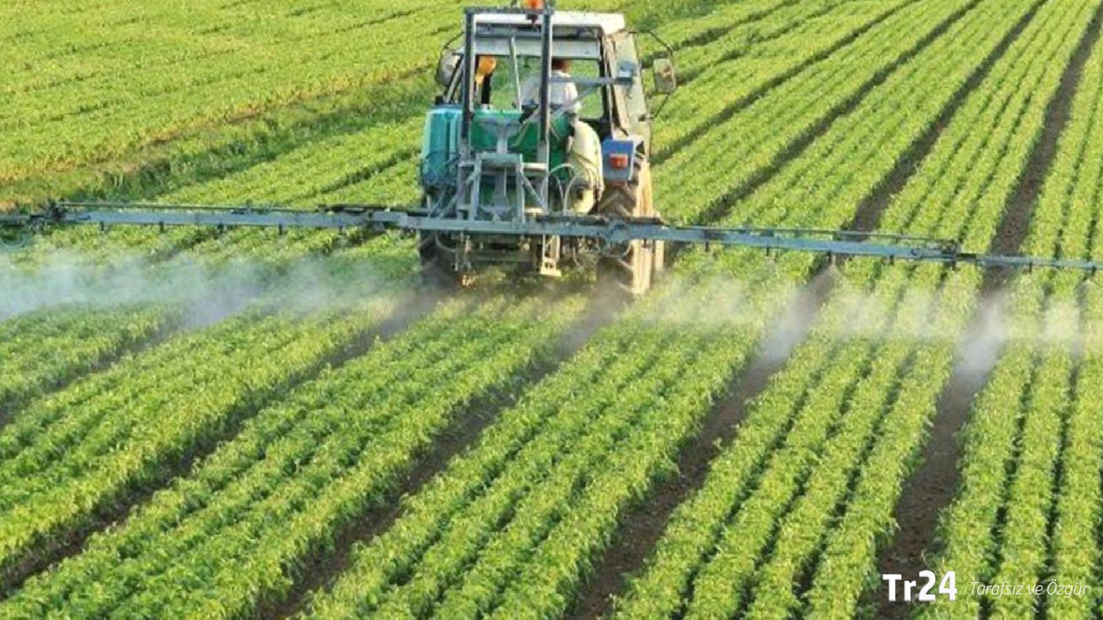 En çok bu gıdalarda rastlandı: Greenpeace, incelediği ürünlerin yüzde 61’inde çoklu pestisist kalıntısı buldu!