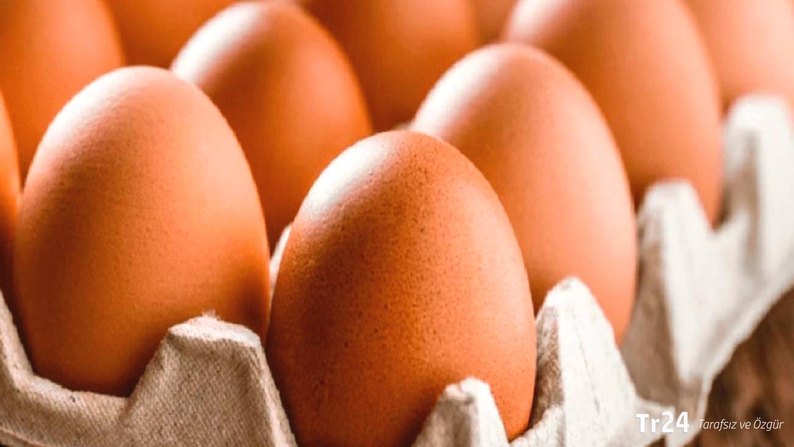 Yumurta fiyatlarındaki artış durmuyor; üretim düşüyor, ihracat ve maliyetler artıyor