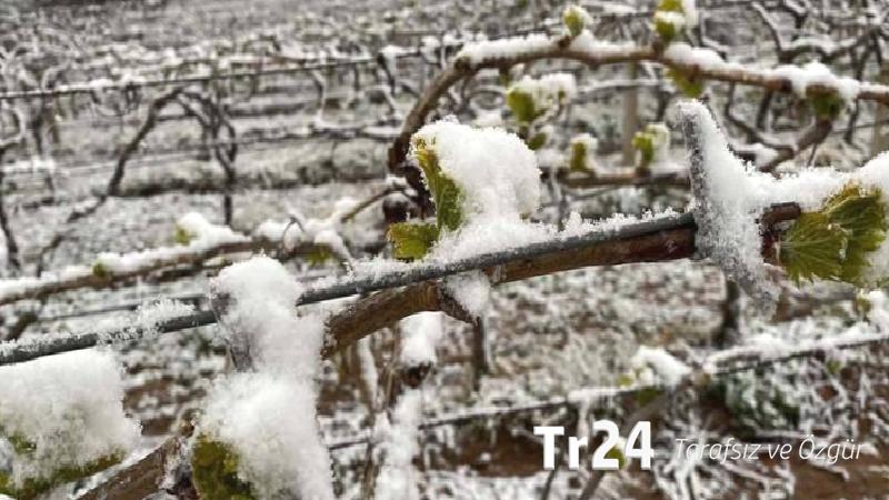 Zirai donun faturası ağır oldu: Fiyatlar artacak, ihracat düşecek