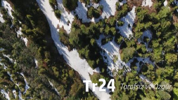 Kaçkar Dağları’nda bahar büyüsü: Karlar eridi, doğa yeniden hayat buldu