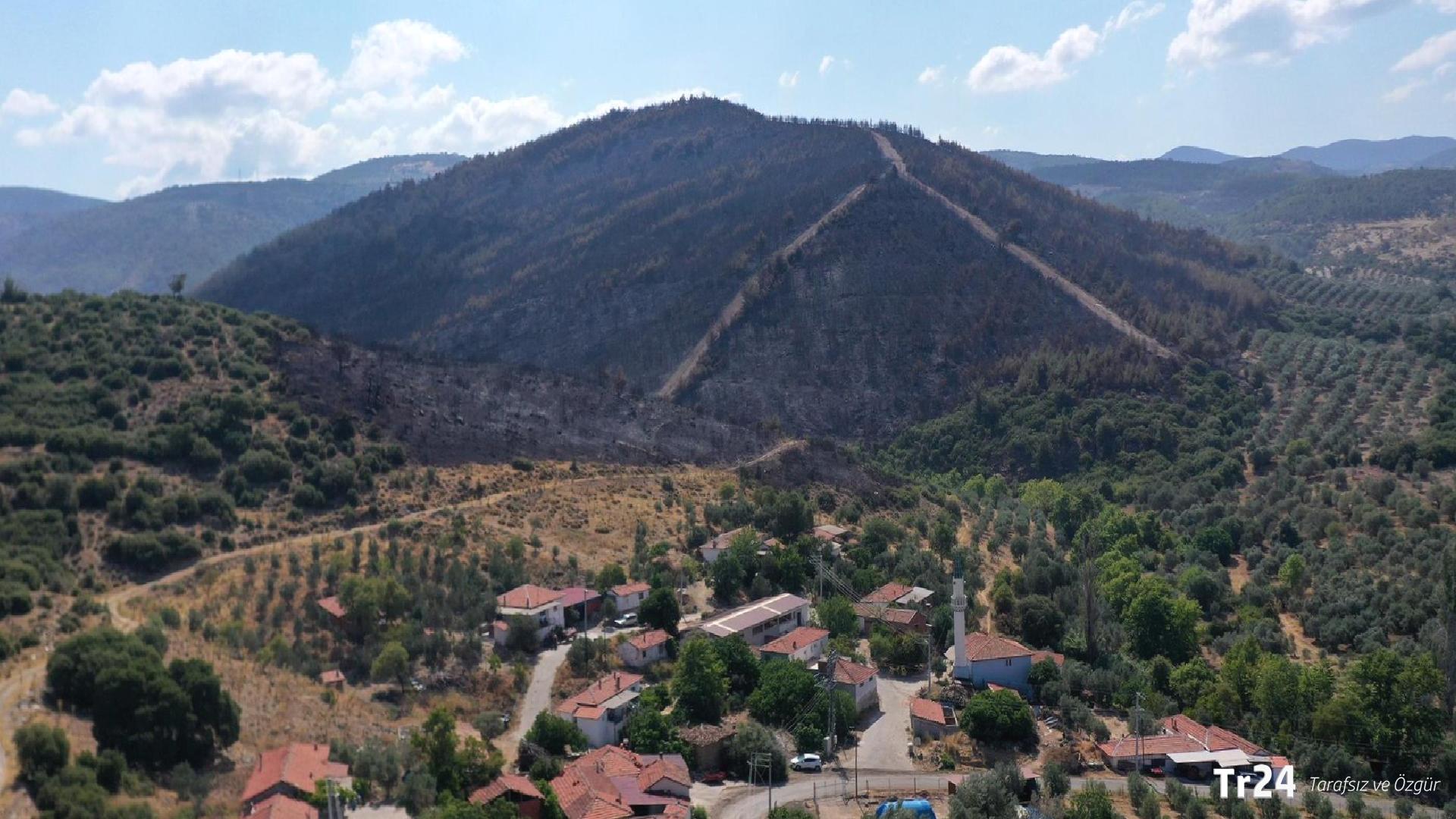 Orman yangınlarında bir gözaltı, bir tutuklama