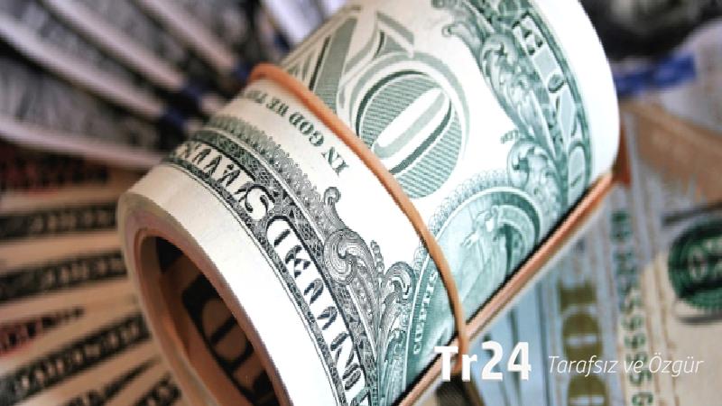 Vatandaşın döviz mevduatı 4,6 milyar dolar arttı