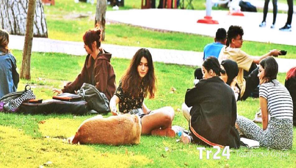 Karar Resmi Gazete’de: İktidar “sağlık merkezi yapacağız” diyerek şehirlerdeki parkları inşaata açtı