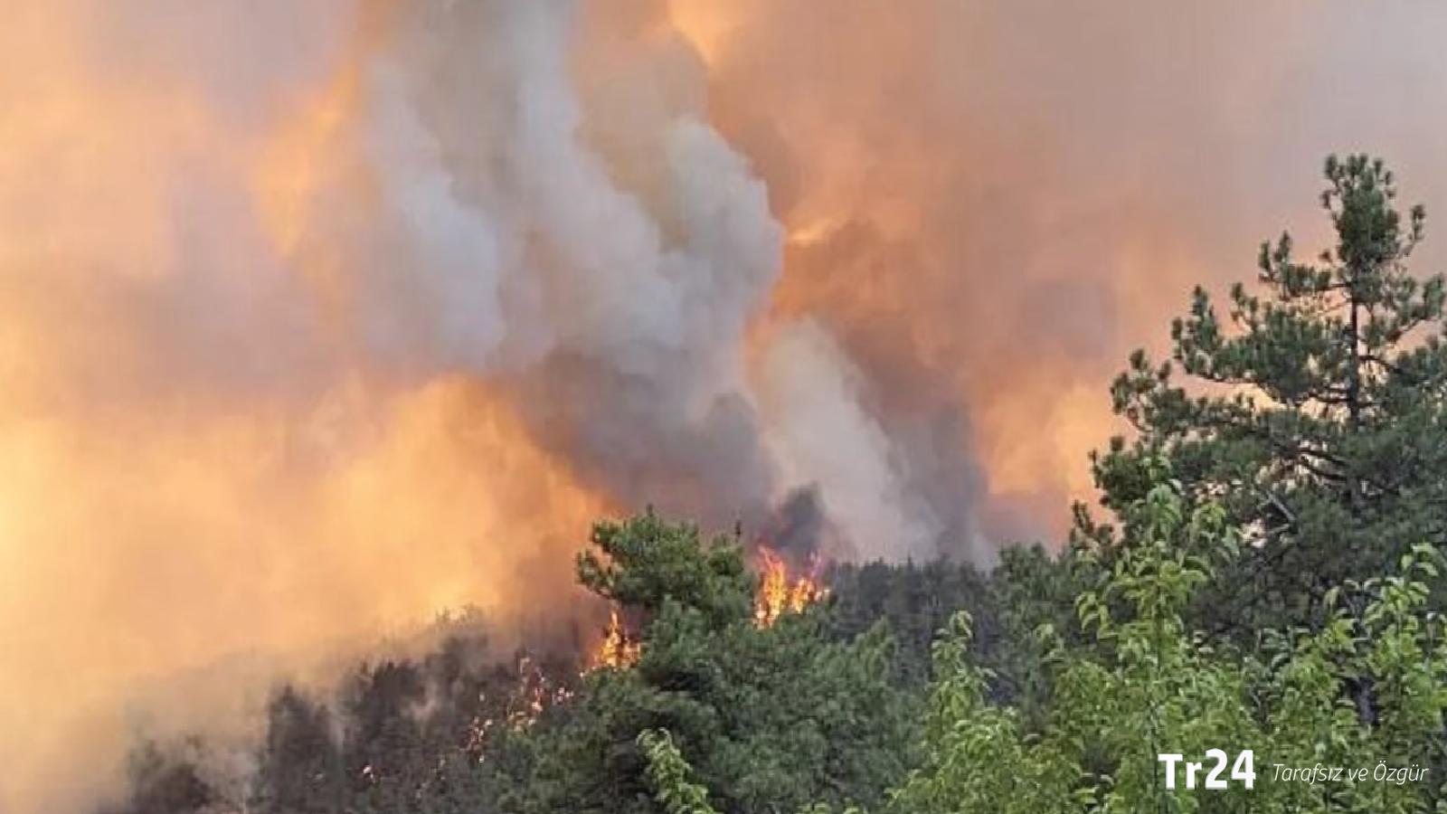 Kavurucu sıcaklar geliyor: Bakan Yumaklı’dan ‘orman yangını’ uyarısı!
