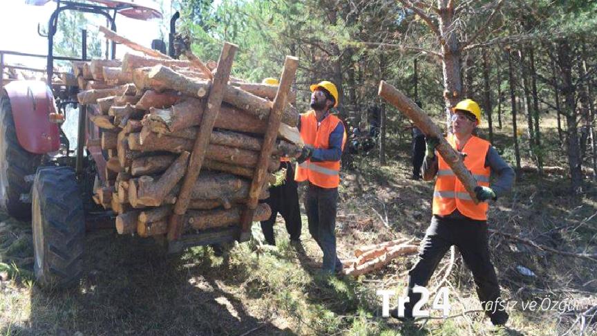 Orman-İş Sendikası: TİS görüşmesi 15-20 güne kadar bitmezse grev kararı almak durumundayız