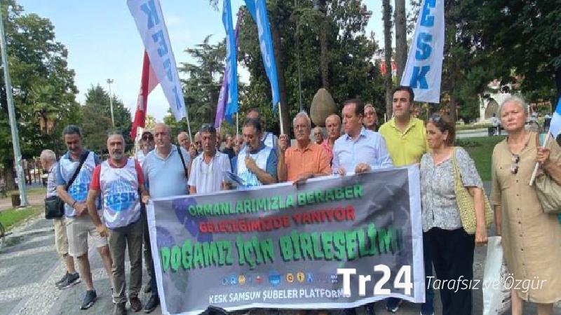 Samsun’da orman yangınları protestosu: Yanan ormanların yeniden ağaçlandırılması anayasal zorunluluk!