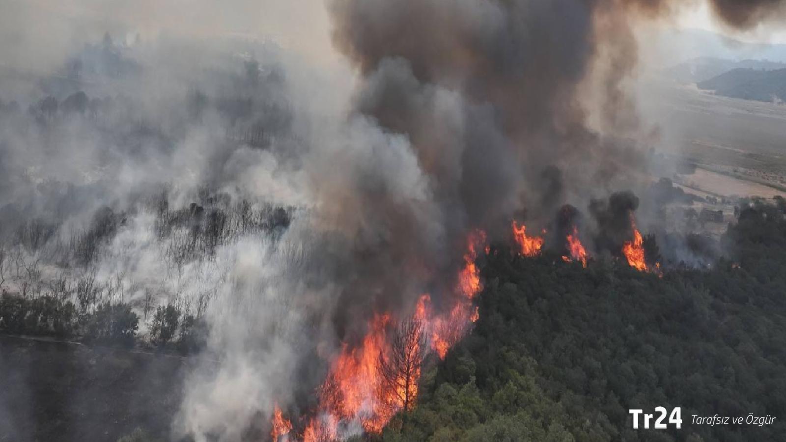 Çanakkale Gelibolu’daki orman yangını üçüncü güne girdi; büyük ölçüde kontrol altına alındı
