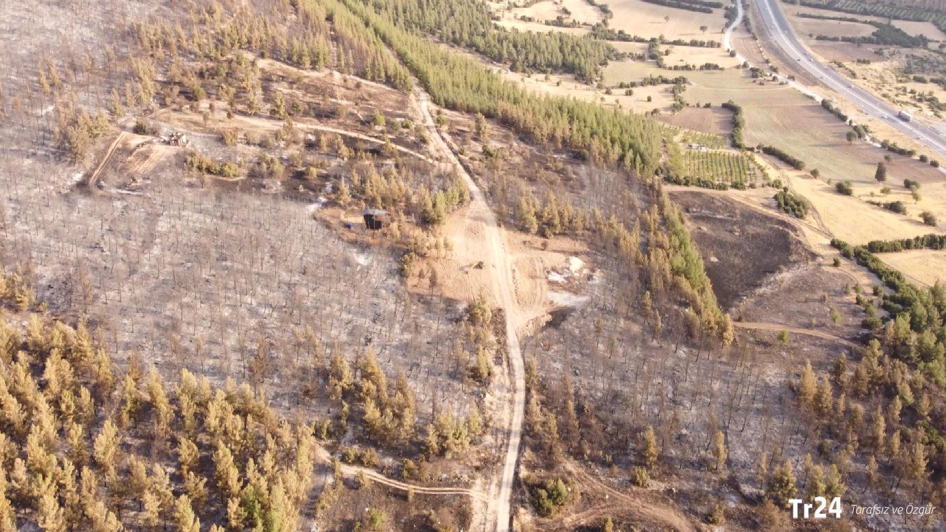 Denizli Pamukkale’deki orman yangını kontrol altına alındı: Gözaltına alınan bir kişi serbest bırakıldı