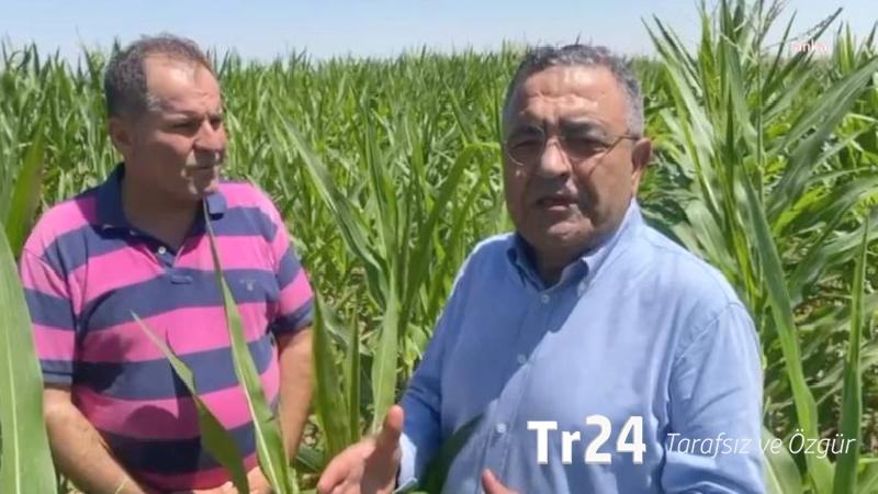 Diyarbakır’da çiftçilerle bir araya gelen CHP’li Tanrıkulu: AKP iktidarları döneminde çiftçiler fakirleşmiştir!