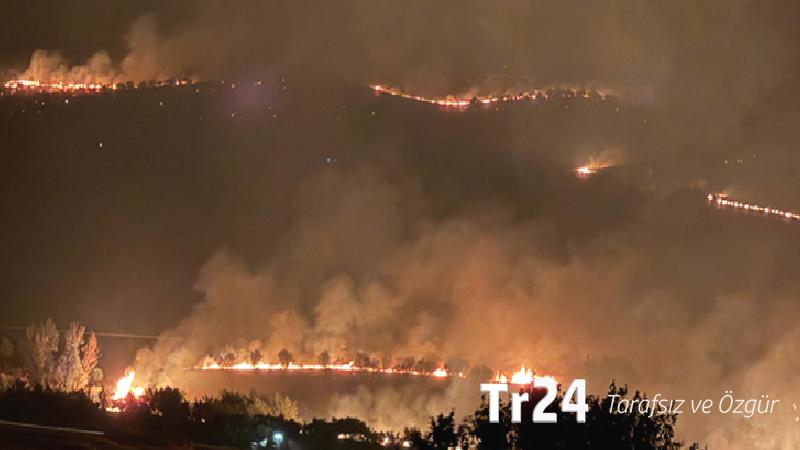Diyarbakır’ın Hani ve Lice ilçelerinde orman yangınları: Alevler yerleşim yerlerine yaklaştı