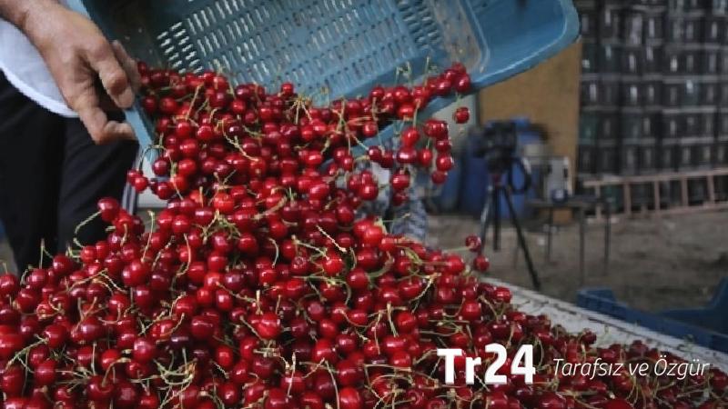 Kiraz almak hayal oldu: Türkiye’de meyve fiyatları yaz mevsimine rağmen cep yakıyor!