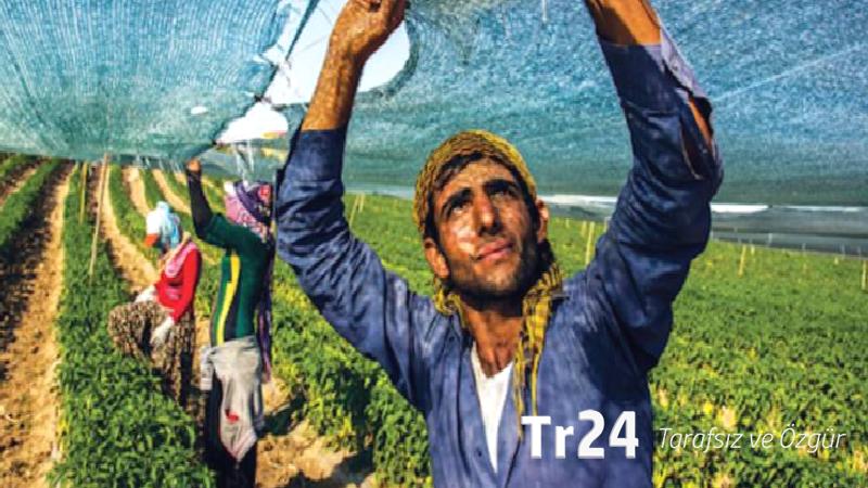 Köye dönen gençlere bedelsiz arazi, düşük faizli kredi ve ev desteği