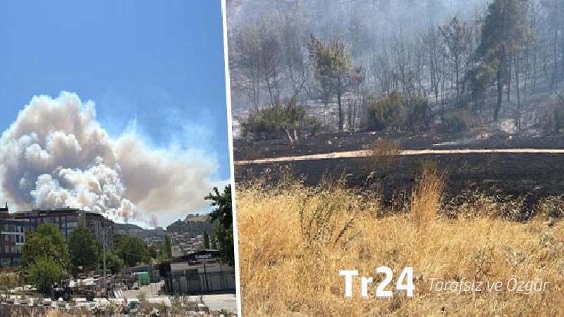 Manisa Soma’da çıkan orman yangınına müdahale sürüyor: Kozanlı Mahallesi tahliye edildi, 1 kişi gözaltında