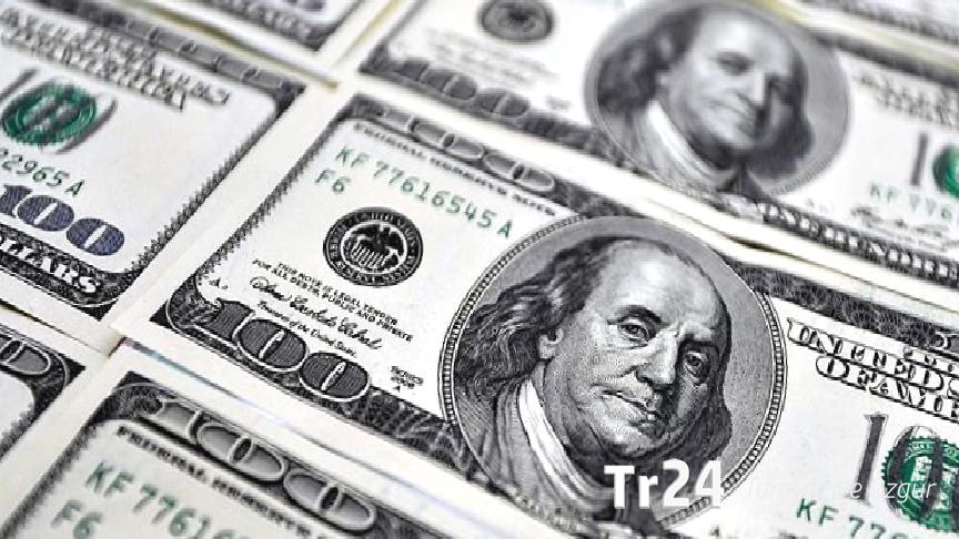 Yurt içi yerleşiklerin döviz mevduatı 1,4 milyar dolar azaldı