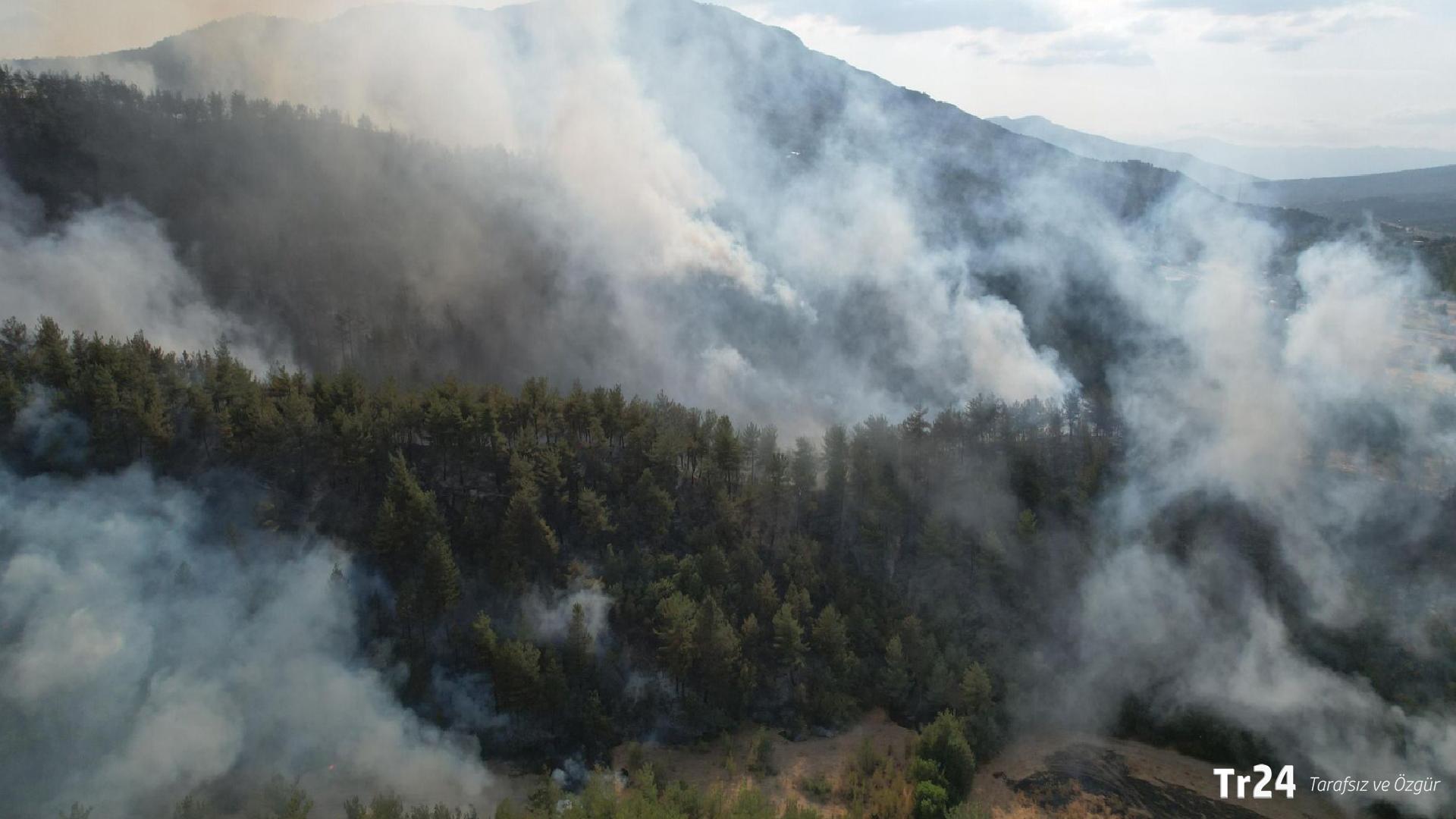 Bakan Yumaklı, yangınların son durumunu açıkladı: ‘Mücadelemiz devam ediyor’