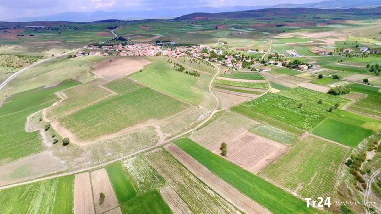 Süreç bugün başlıyor: İşte 5 soruda ekilmeyen arazi düzenlemesi