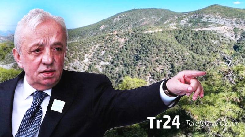 Cengiz Holding’in siyanürlü altın madenine onay çıktı; 57 bin ağaç kesilecek