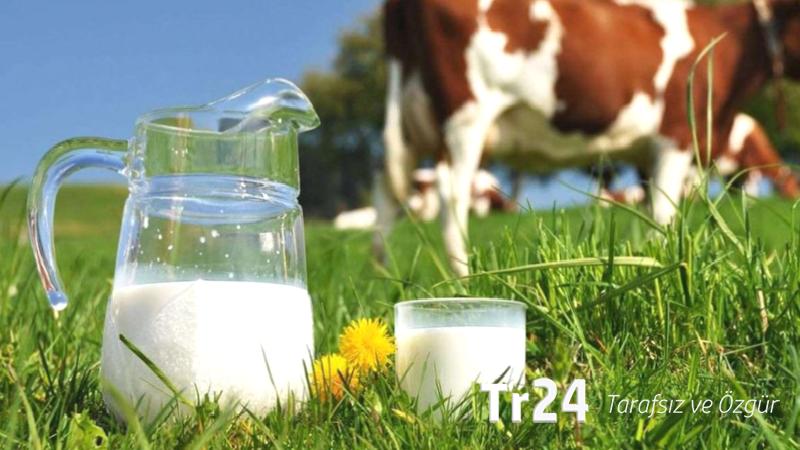 İnekler kesime gidiyor, üretim daralıyor; süte zam mı gelecek?