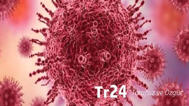 Çok hızlı yayılıyor: Kuzey Yarımküre’de ‘H3N2’ alarmı!