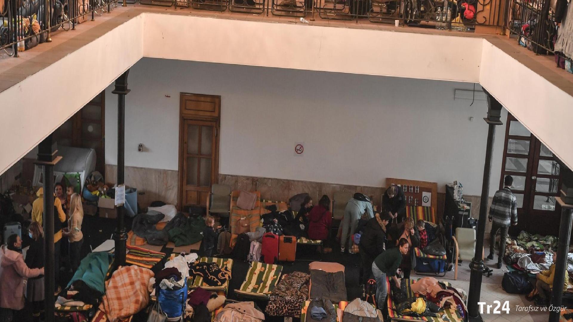 Hollanda, Ukraynalı sığınmacılardan kurtulma planı hazırladı