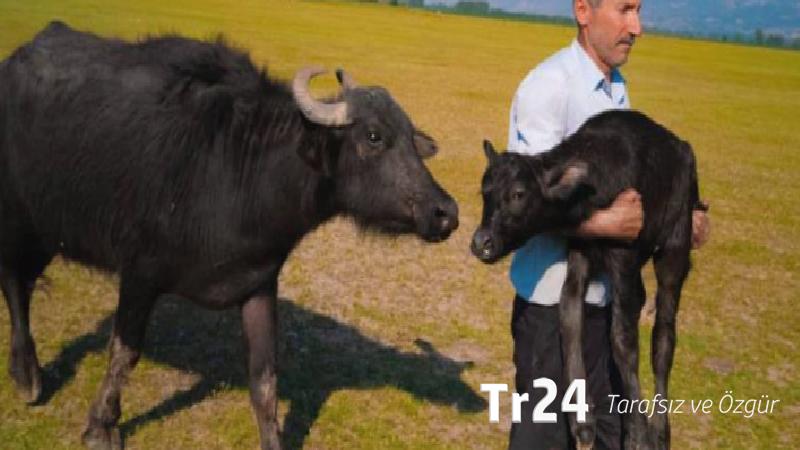 Huawei XMAGE 2025’te Tokatlı fotoğrafçı dünya ikincisi oldu