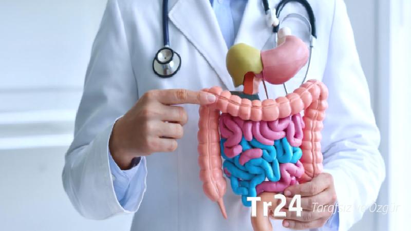 Yeni araştırma: Bağırsak bakterileri kişiliğimizi etkileyebilir!