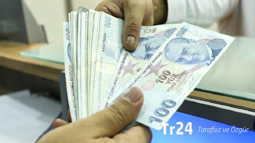 Engelli ve eski hükümlülere yönelik hibe desteği başvuruları başladı
