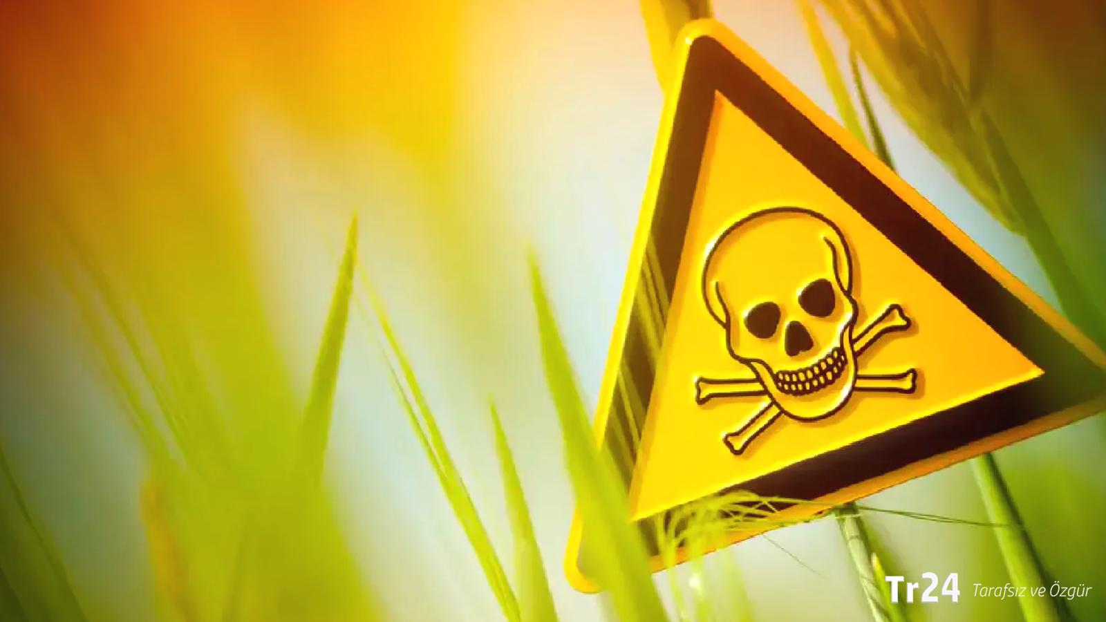 AB ülkelerindeki tahıllarda “sonsuz kimyasallar” bulundu