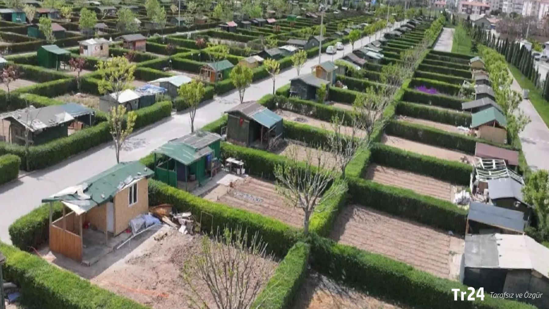 Hobi bahçelerine yönelik denetimler artırılıyor; dört milyar liralık para cezası kesildi