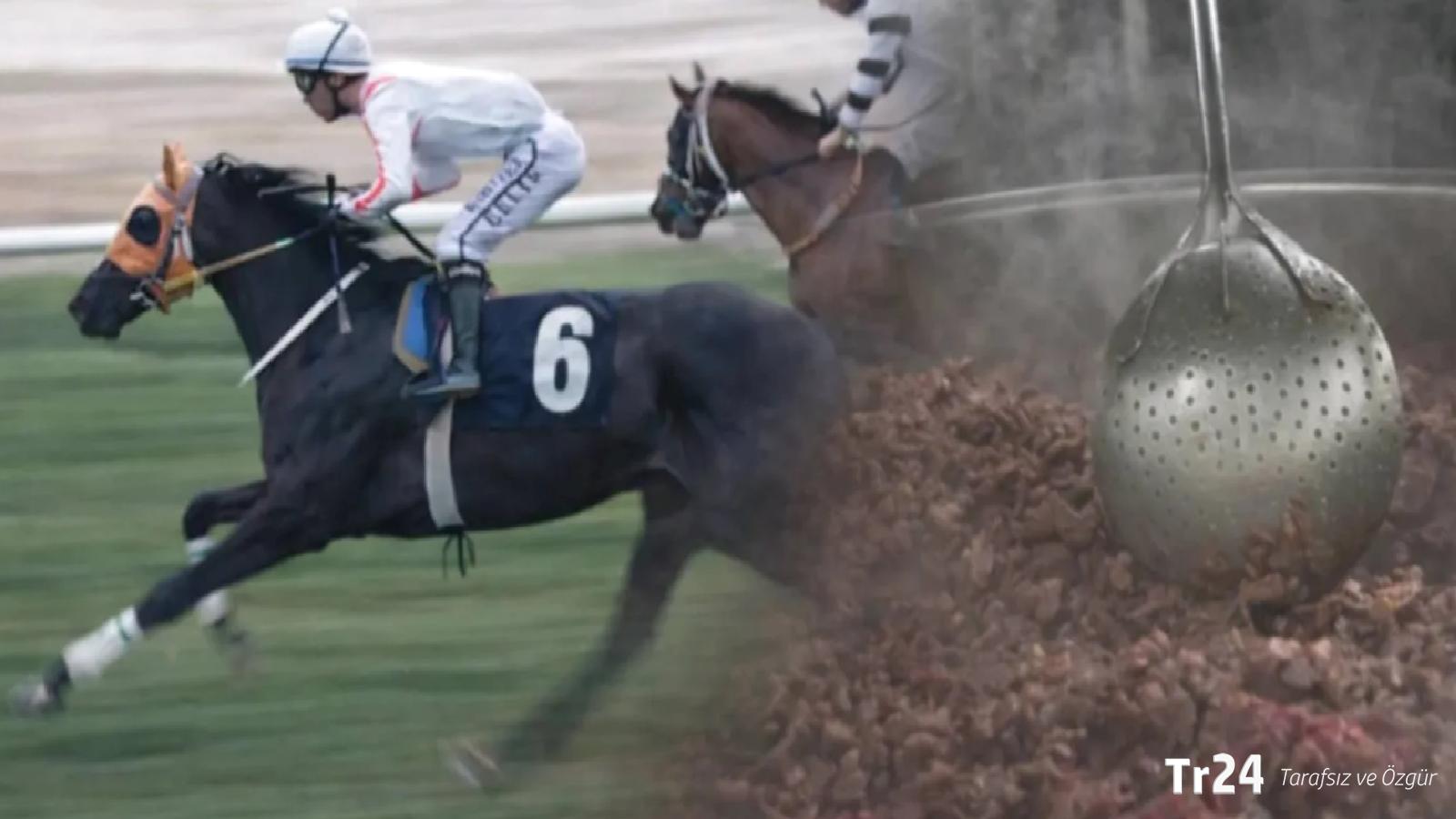 Kavurma yapılan yarış atı Smart Latch: Süreç nasıl gelişti?