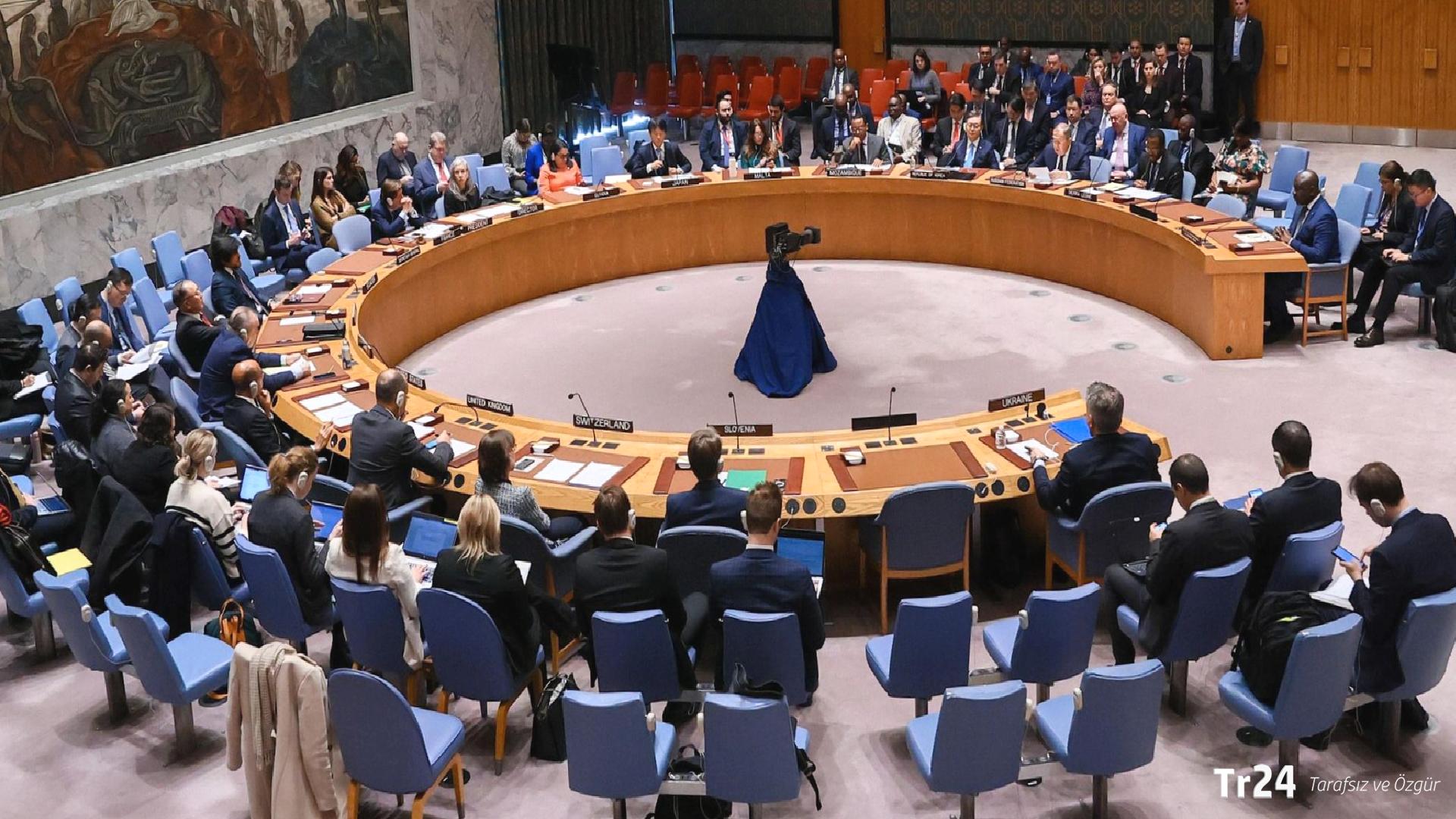 Malili uzman: Avrupa ülkeleri, BM’de ‘entelektüel ihanet’ gerçekleştirdi