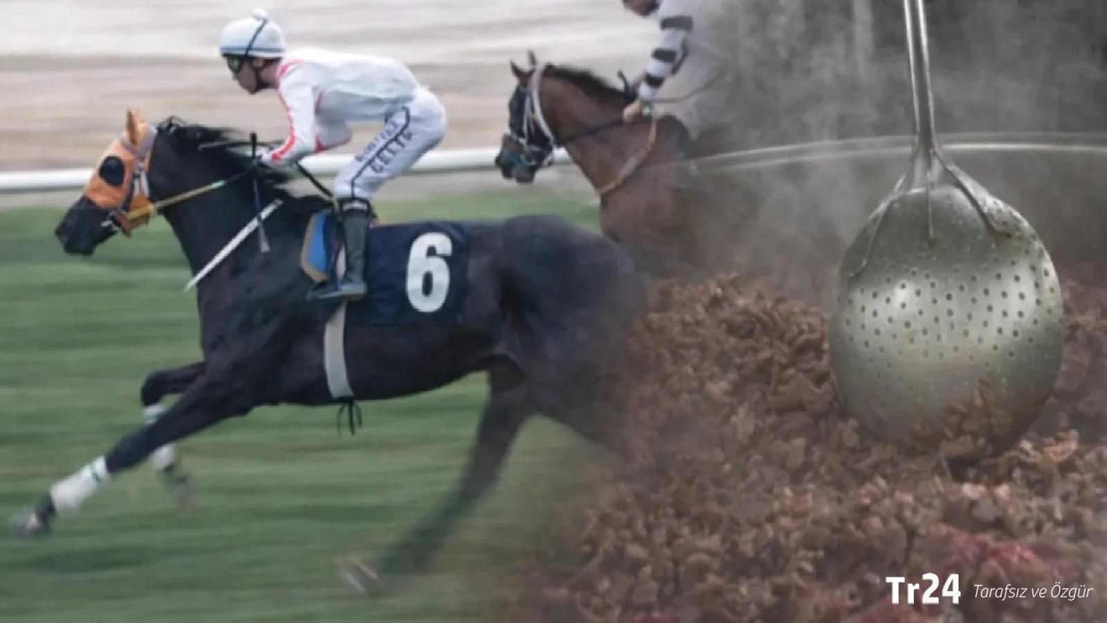 Mersin’de skandal olay: Şampiyon yarış atının eti, aşevindeki kavurmadan çıktı!