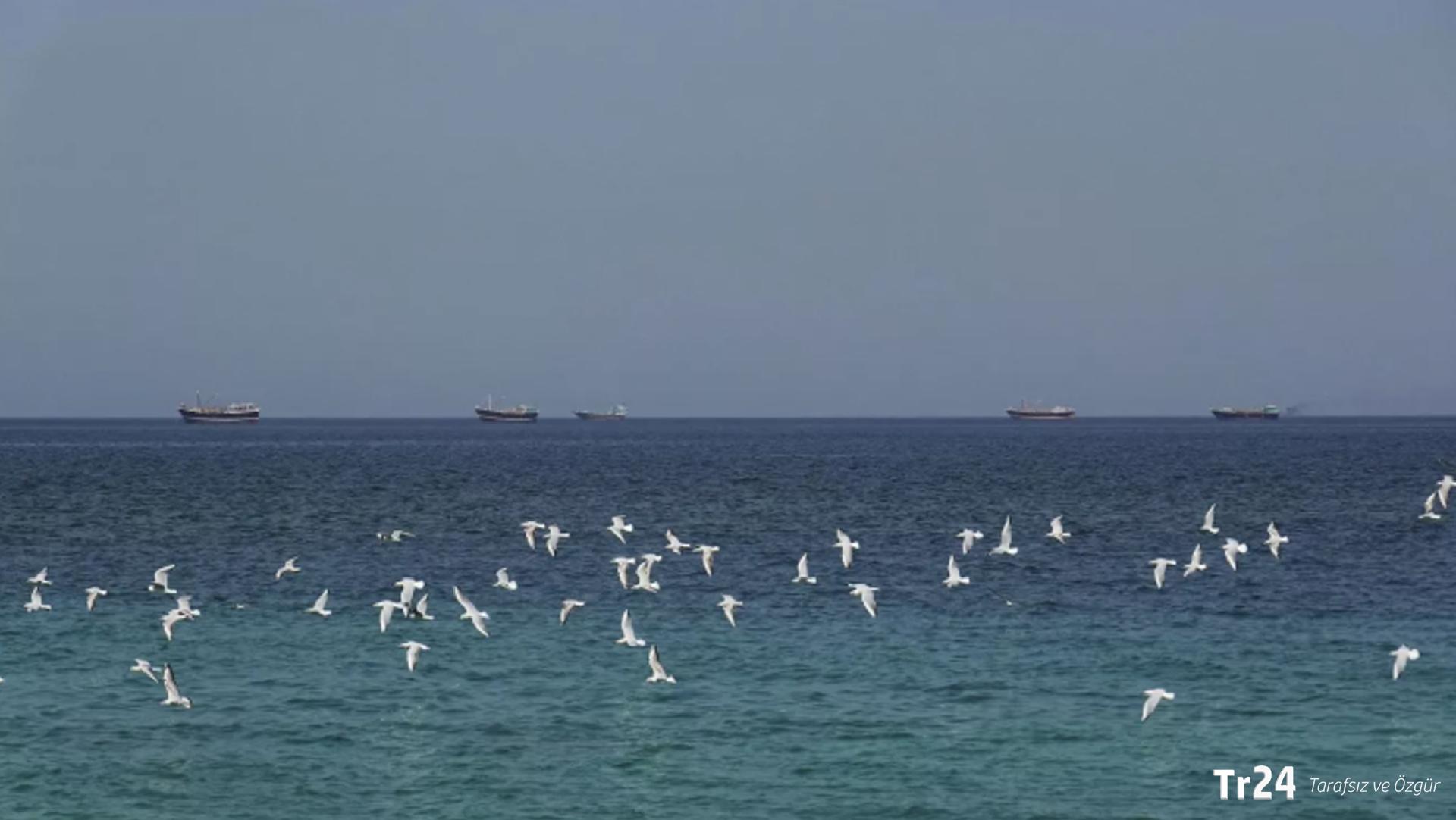 Suudi uzman: Hürmüz ve Babülmendep boğazlarıdnaki durumun Suudi Arabistan üzerindeki etkisi önemsiz