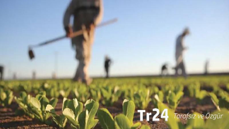 Tarımda alarm: Gübre ve mazot zamları üretimi vurdu