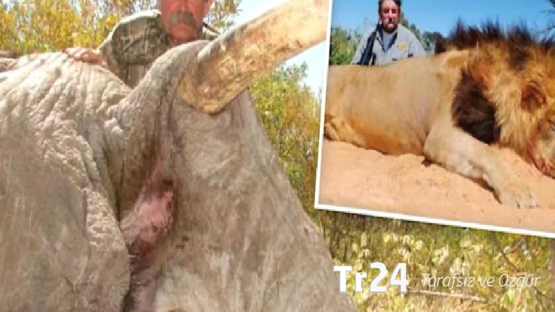 Avcılık için Güney Afrika’ya gitmiş: Milyoner iş insanı filler tarafından ezilerek öldü