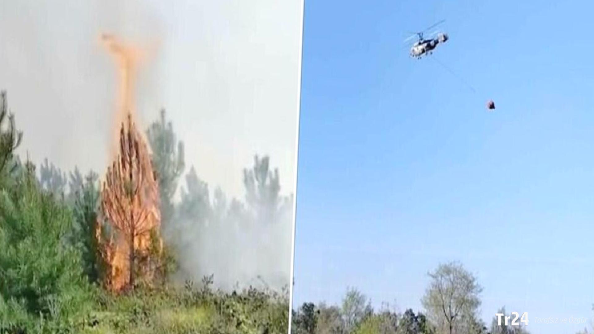 Beykoz’da orman yangını: Ekipler müdahale ediyor