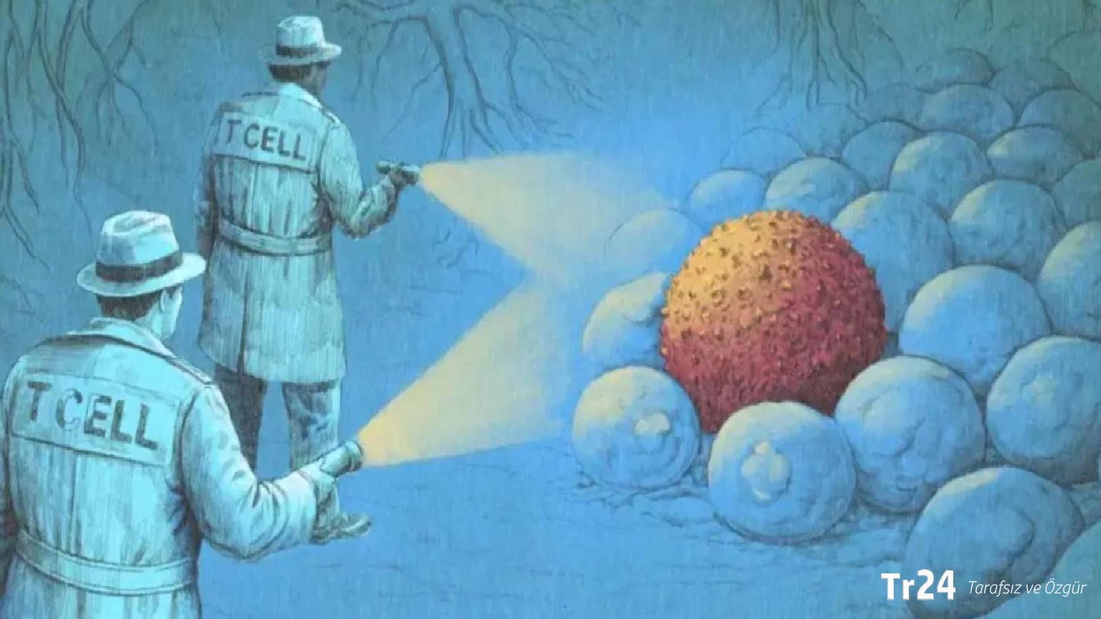 ‘Bilim kurgu gibi’: Yeni bağışıklık sistemi tedavileri kanserle nasıl savaşıyor?