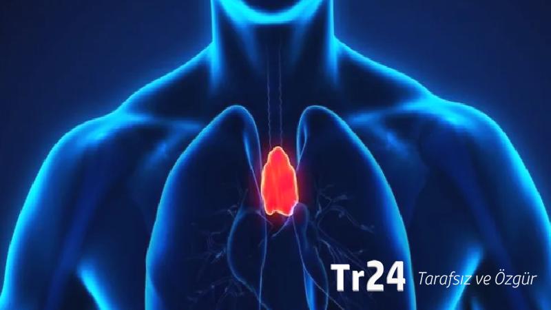 Ergenlikte bittiği sanılıyordu: “Vücudumuzun gizli kahramanı” timusun görevleri