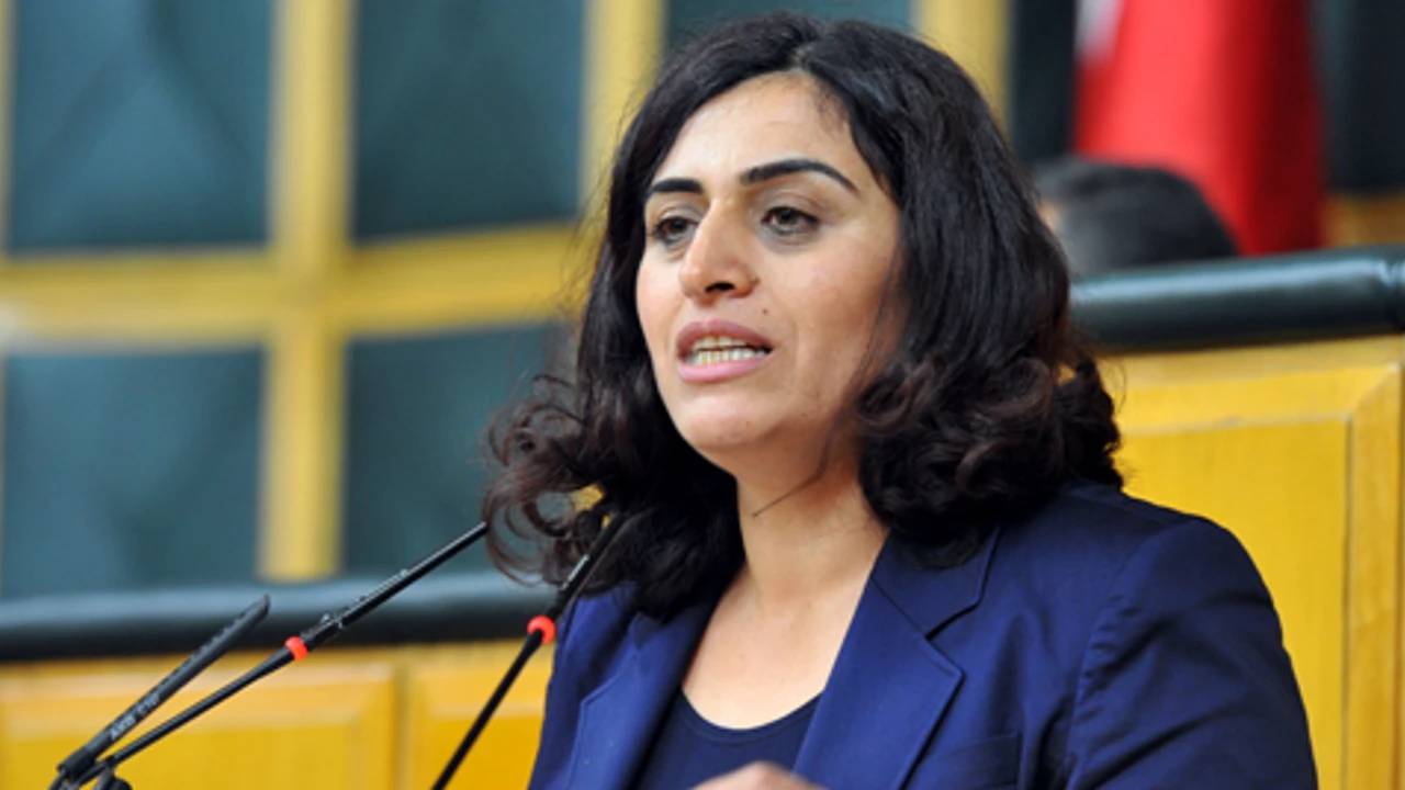 “Öcalan pikniğine” polis müdahalesi: Eski HDP Eş Genel Başkanı Sebahat Tuncel gözaltına alındı