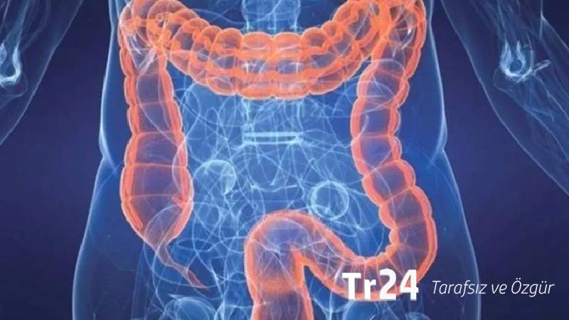 Prof. Dr. Müftüoğlu: Bağırsak mikrobiyomundaki değişimler beyin sisi yapabilir