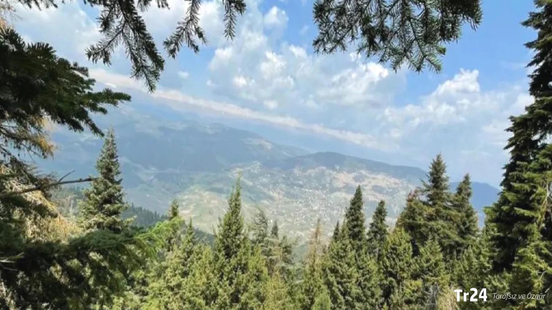 23 ildeki bazı alanlar orman sınırları dışına çıkarıldı