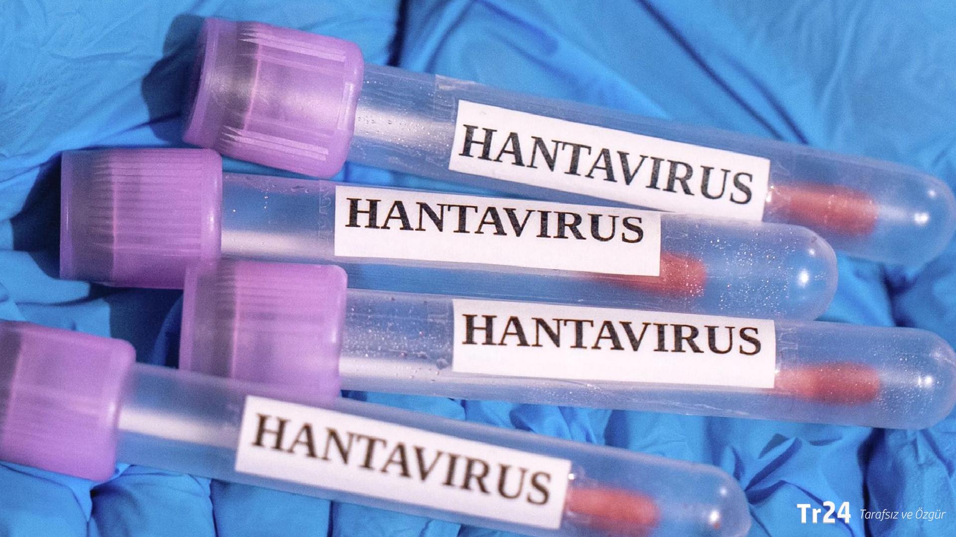 DSÖ uyardı: Hantavirüs belirtiler başladığında en bulaşıcı seviyeye ulaşıyor
