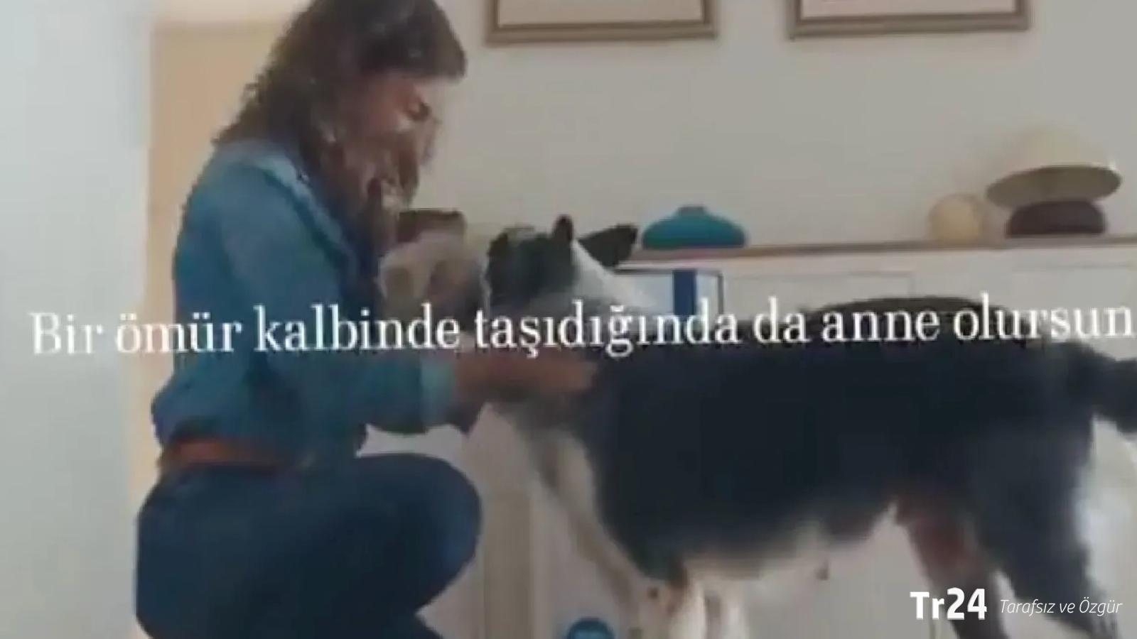 Ertuğrul Özkök: Sayın Aile Bakanı, size Kulaksız köyünden çok ciddi itiraz var