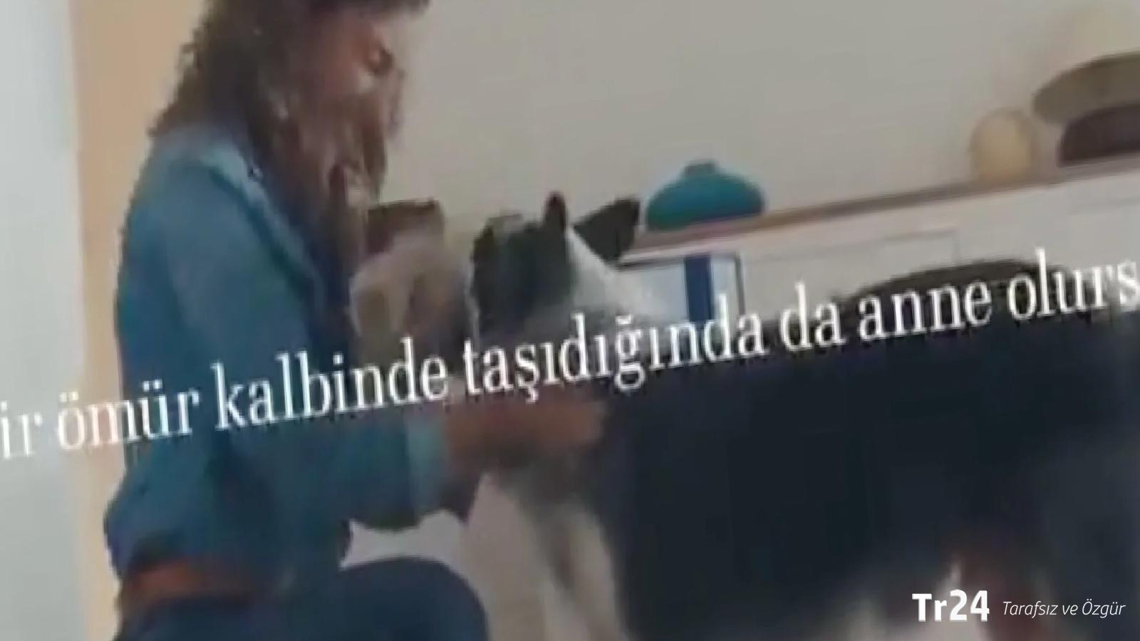 Nevşin Mengü: Kadın köpeğe ‘oğluşum’ dedi diye soyumuz tükenir mi?