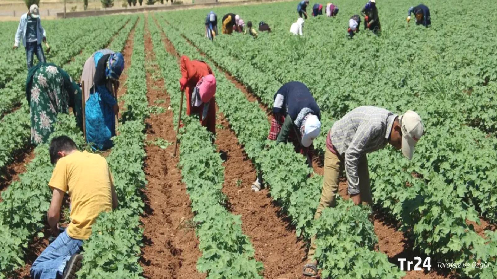 Yargıtay’dan tarım Bağ-Kur kararı: EYT kapsamı genişleyebilir